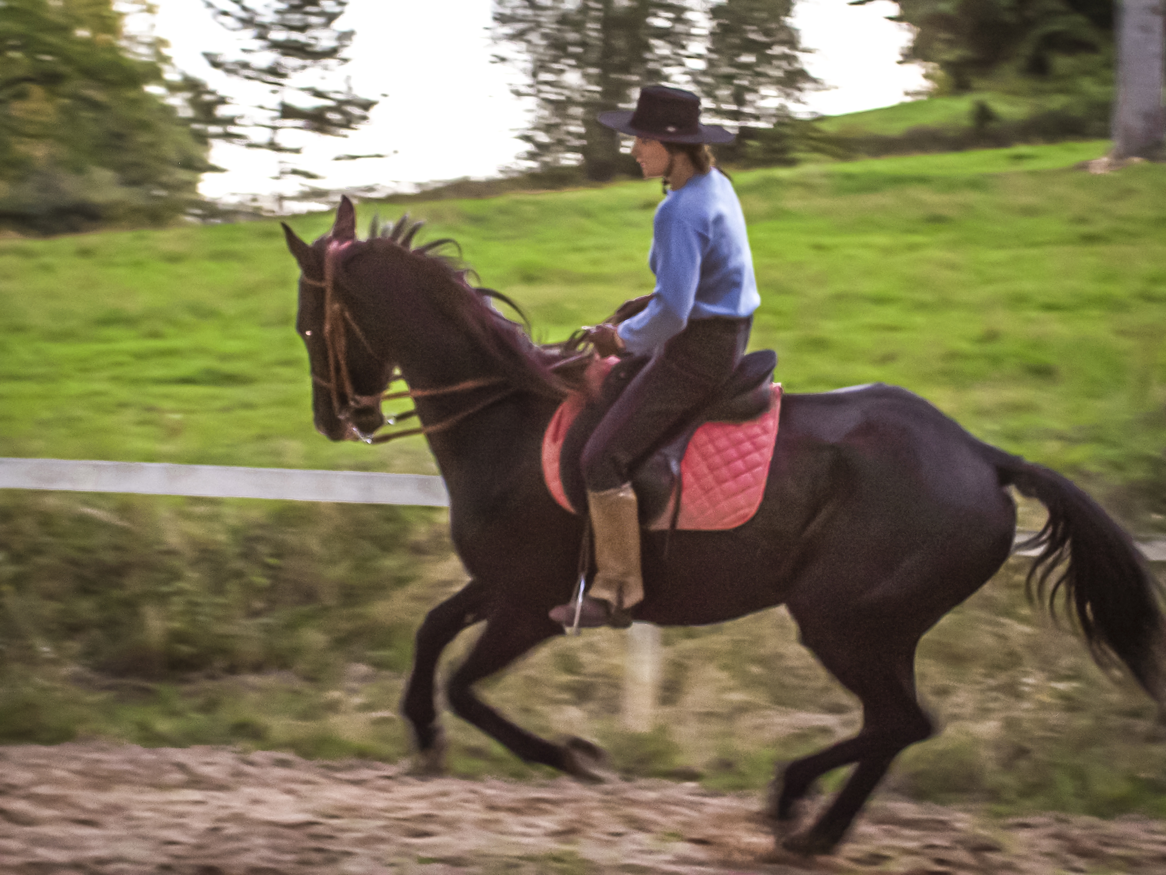 Image en bas de la couverture